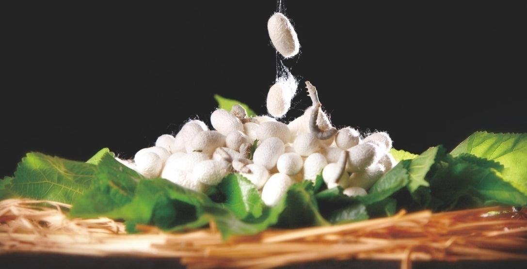 Real Silk vs Mulberry Silk: Do You Really Know the Difference? - AOA Fashion Accessories